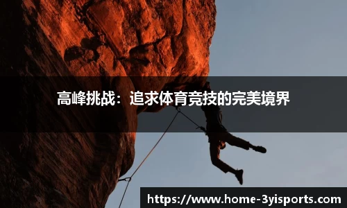 高峰挑战：追求体育竞技的完美境界